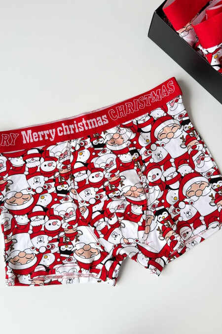 Боксери новорічні DH4384