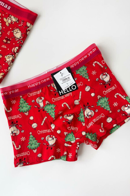 Боксери новорічні DH4590