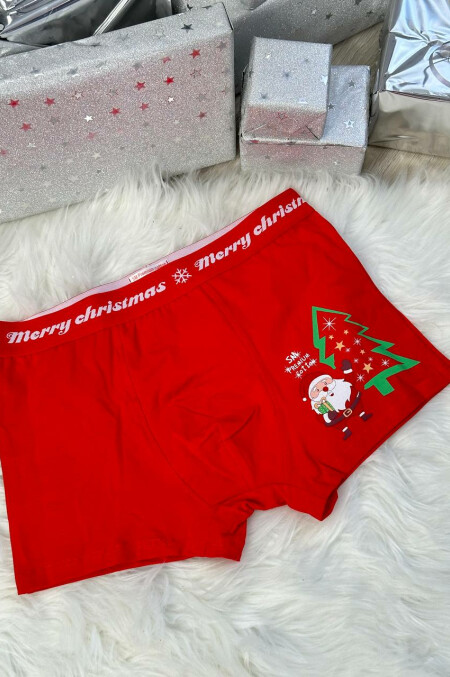 Боксери новорічні DH3854