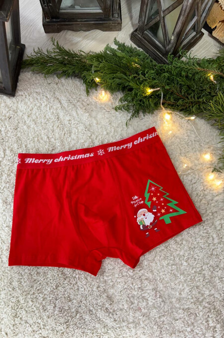 Боксери новорічні DH3854